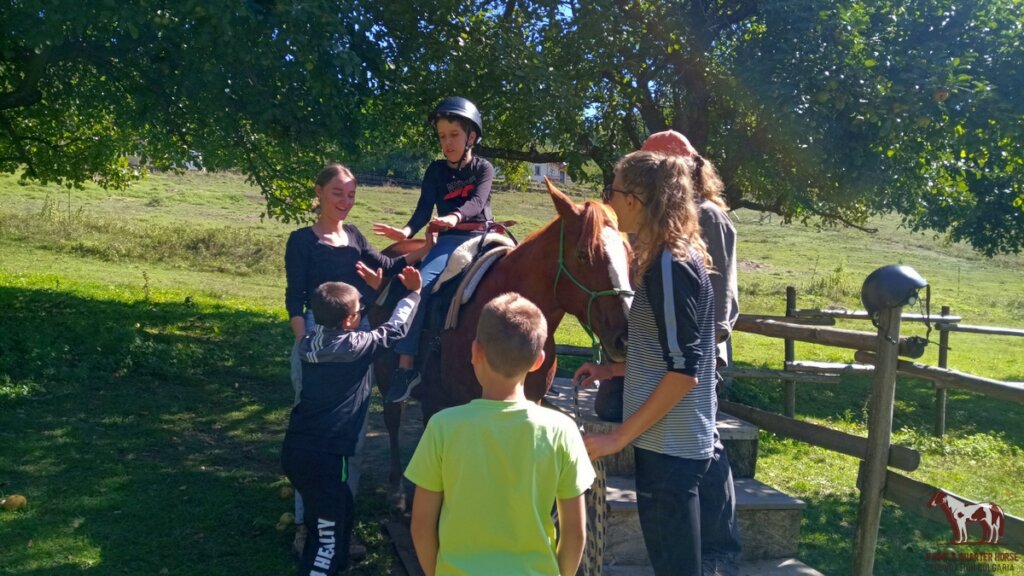 Bring Back Horse Therapy for Families of Disabled
