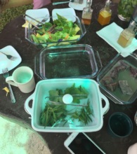 presentation of garden products