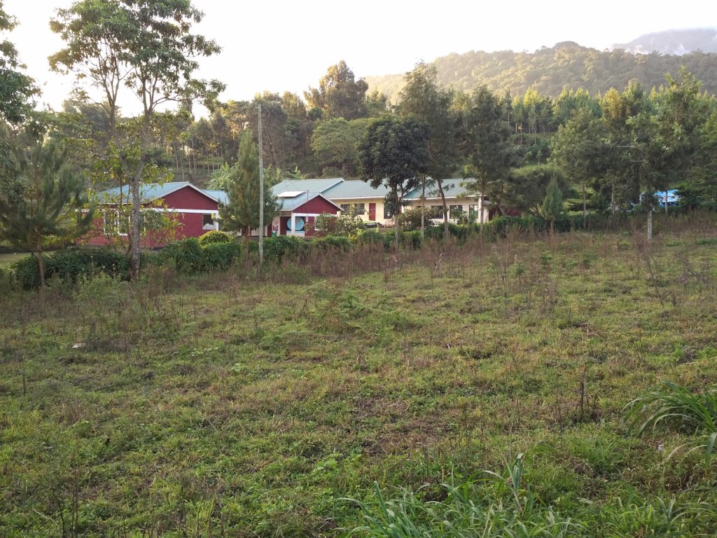 Build a Dormitory for 30 Students