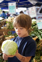 Farmer's Market