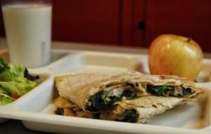 school recipe: spinach and chicken quesadilla