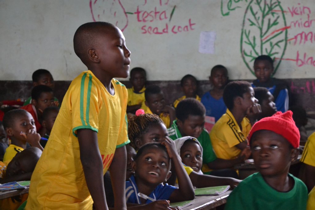 Build 100 Young Change Makers in Cameroon