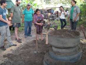 Another Small Space Gardening Possibility