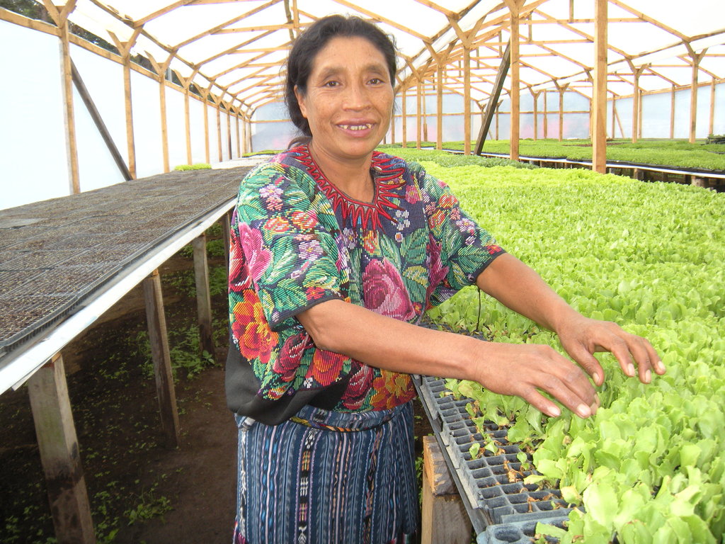 Improve Diet of 20 Guatemalan  Families