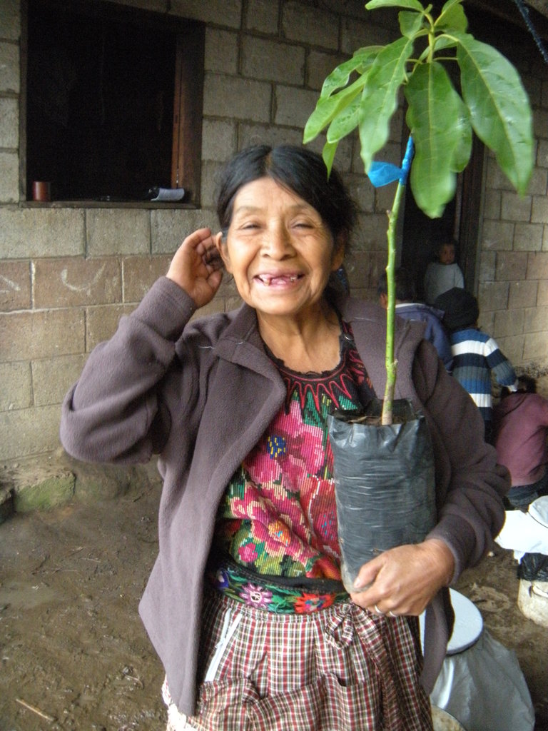 Improve Diet of 20 Guatemalan  Families