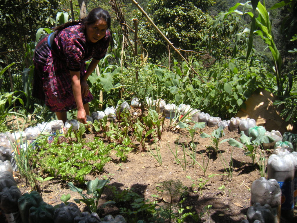 Improve Diet of 20 Guatemalan  Families