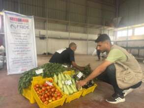 Fresh local vegetables ready to give to families