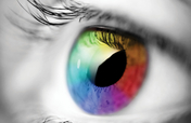 Give the Gift of Sight