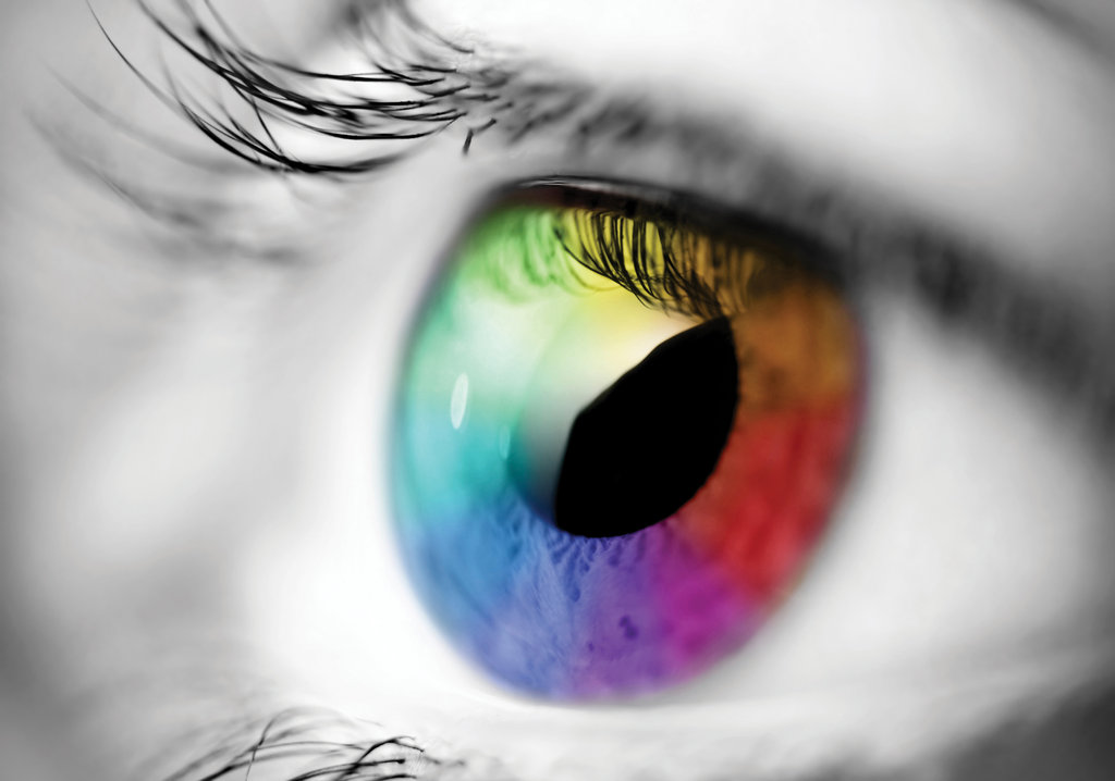 Give the Gift of Sight