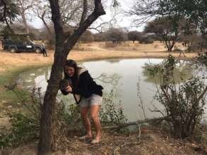 Camera trap being put in place
