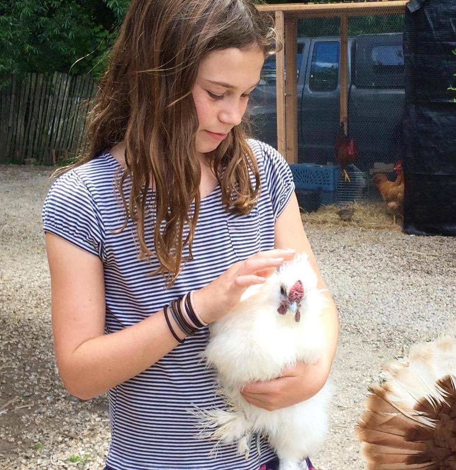 Rescue and Rehab for Dumped Roosters