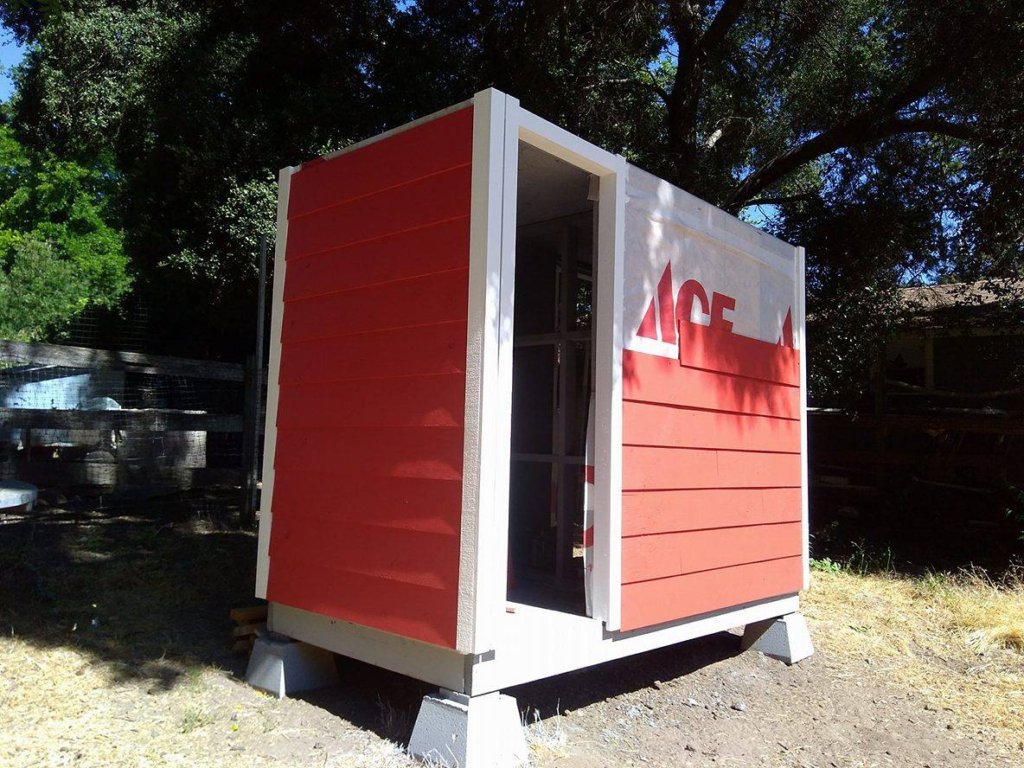 Rescue and Rehab for Dumped Roosters