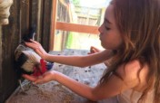 Rescue and Rehab for Dumped Roosters