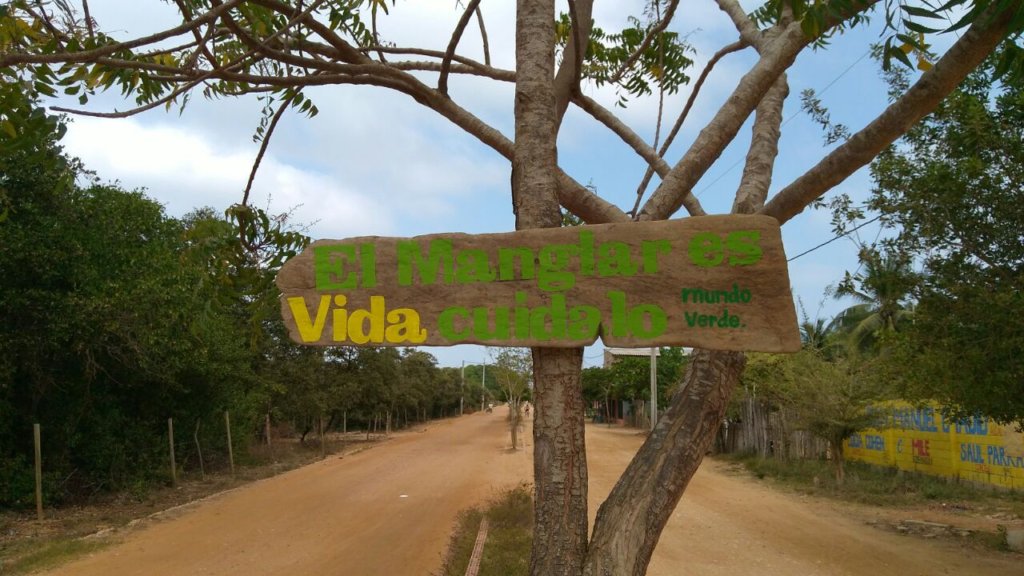 Save Health, Homes & Livelihoods in Rincon del Mar