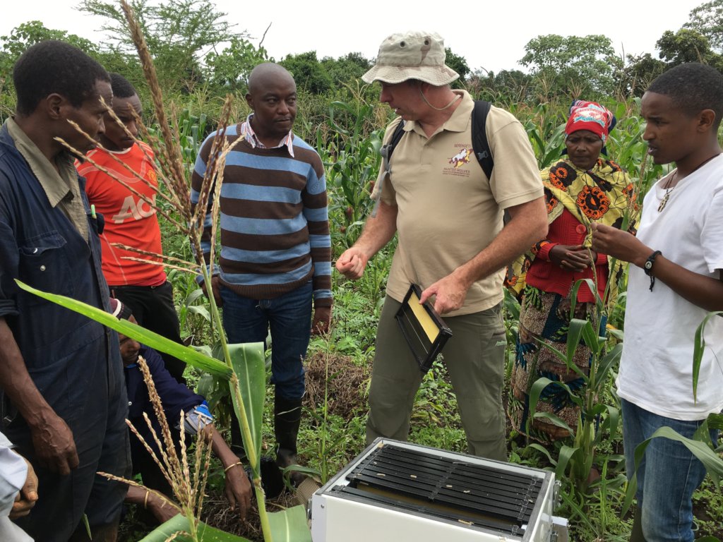 Bees Saving Elephants in Kenya