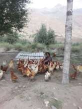 This young man received chickens
