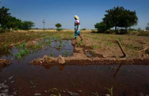 Irrigation