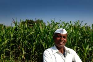 Variety of Crops