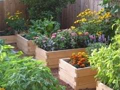 Horticulture Therapy for Chicago Dementia Patients