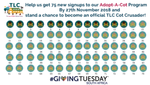 Our Giving Tuesday Goal Chart!