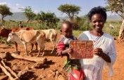 Donate 50 Heifers and End Tribal Conflict in Kenya