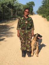 Belgian Malinois dog with an elite Mamba