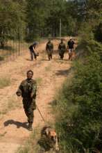 Black Mambas on patrol with dog