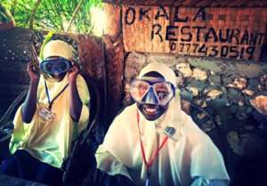 Ethical Dolphin Tour Workshops and Conservation