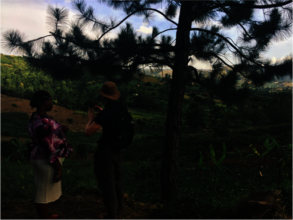 Headteacher of St Mary's and Will discuss projects