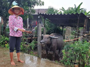 Mrs Sen, a single mother, received her cow in 2024