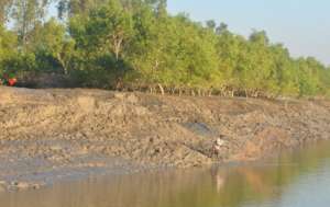 Traditional fishing practice in Sunderbans