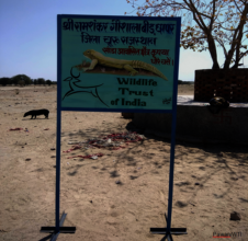 Awareness Signage Board