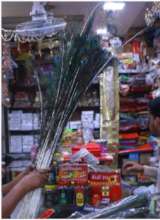 Seizure of Peacock Feathers