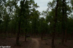 Darker Monsoon Days make Patrolling Harder