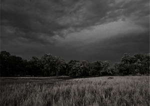 Bandhavgarh Landscape - Winters Can be Cold