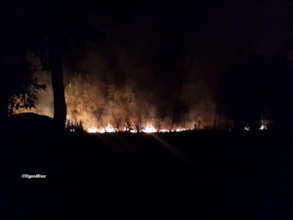 Our Patrols discover a raging forest fire at night