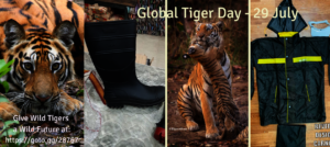 Wild Tigers & Essential Patrolling Equipment