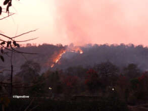 Forest Fires are a Challenge for Our Patrollers