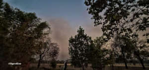 Smoke Fills Bandhavgarh Skies