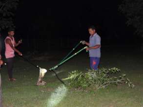 Tigers4Ever Snake Rescue Kit in Action