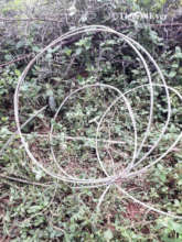 Snare Cable as used to kill the Banvai Tigress