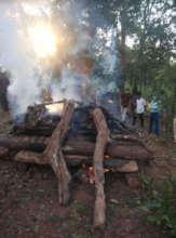 Funeral for Poisoned Tigers