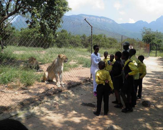 Take 1500 children on an Educational Wildlife trip