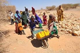 Help 500 Families Drought Affected in Somaliland