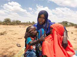 Drought displaced family in Digale IDP