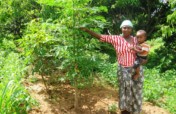 Moringa Trees for 1000 Makueni Farmers