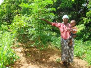 Moringa Trees for 1000 Makueni Farmers