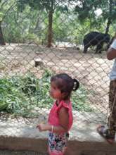 Visit to the National Park
