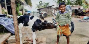 Harshil and a cow named Gowri