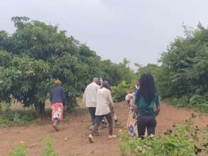 Farmaland activities in Masaka